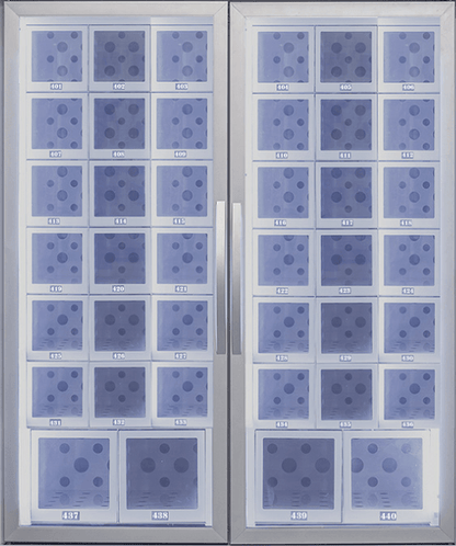 Porte Double pour Casiers Réfrigérés avec Vitre